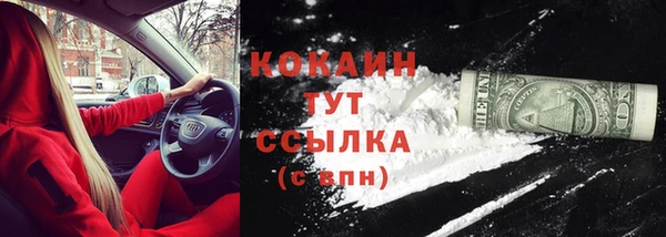 МДПВ Пересвет